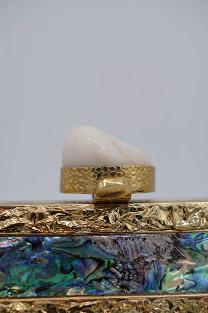 Iridescent Abalone Clutch