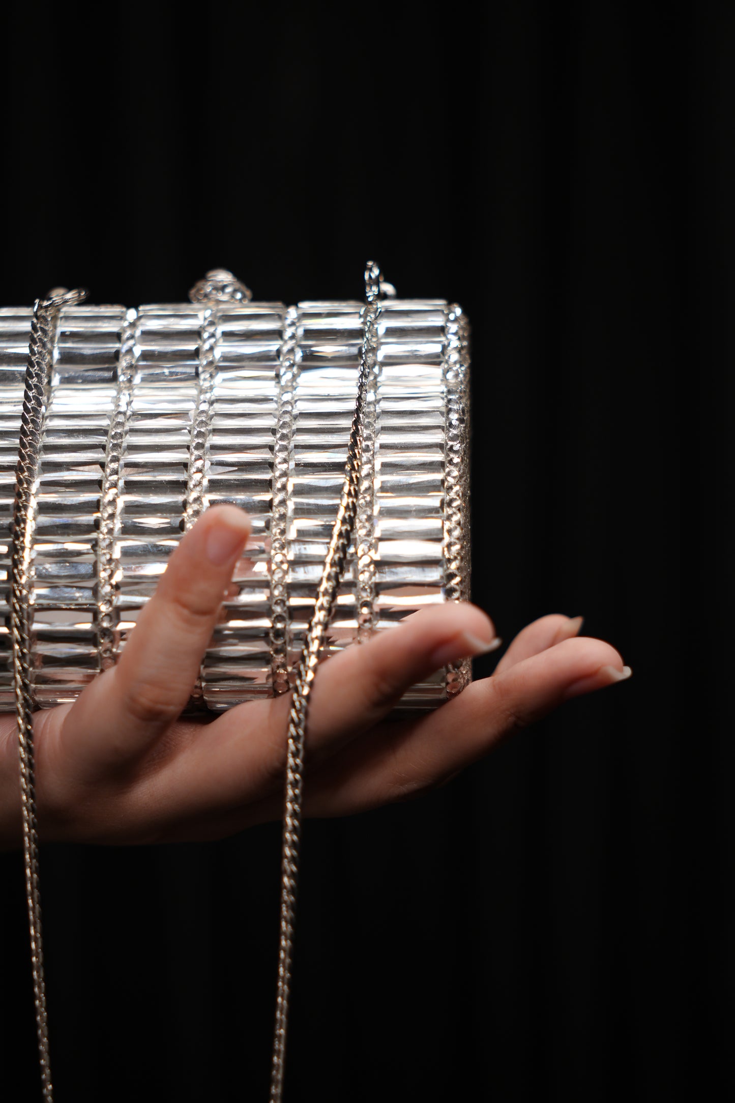 Bold Silver Clutch