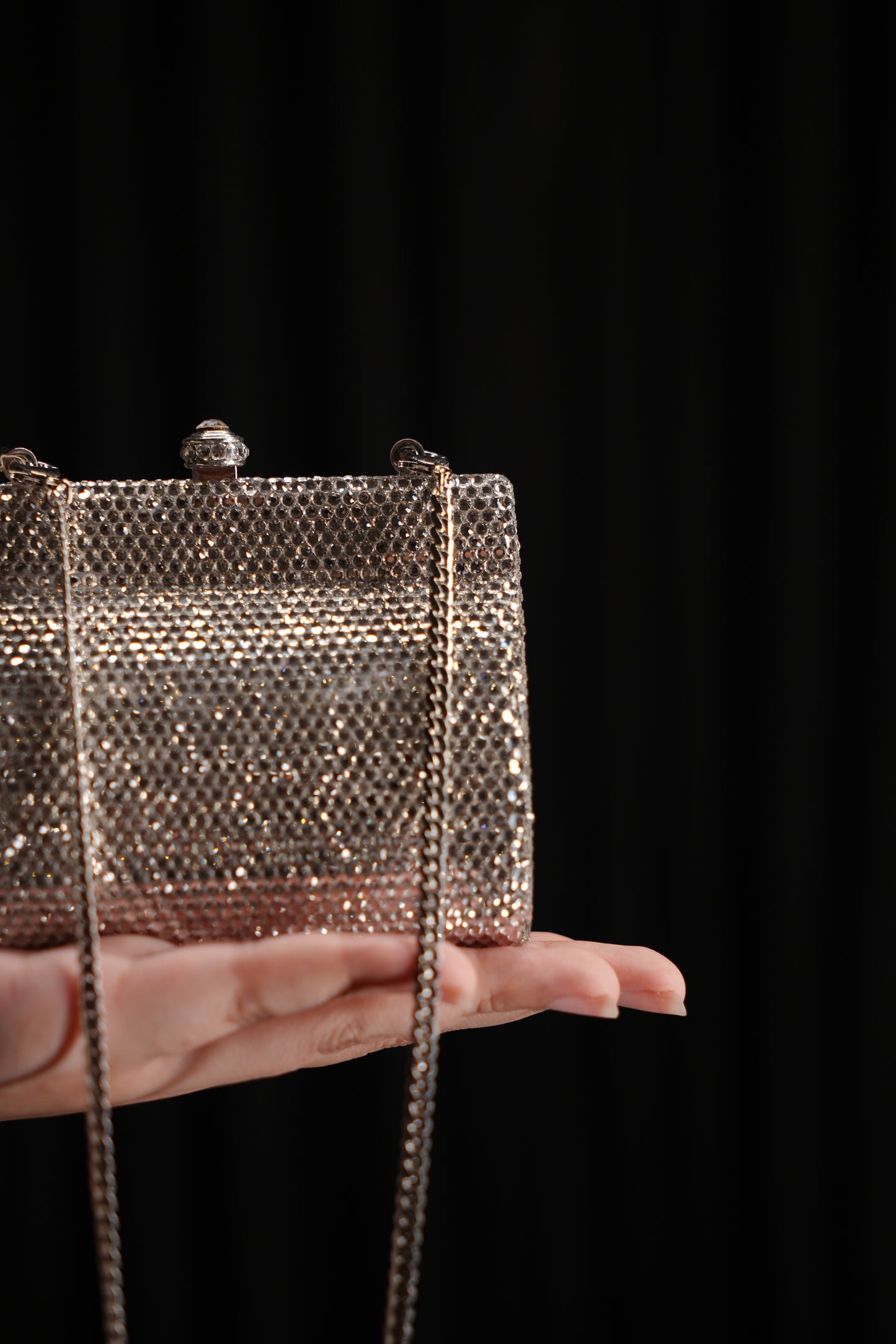 Noir Lumière Swarovski Clutch