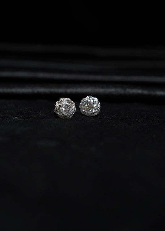 Sparkling Stars studs