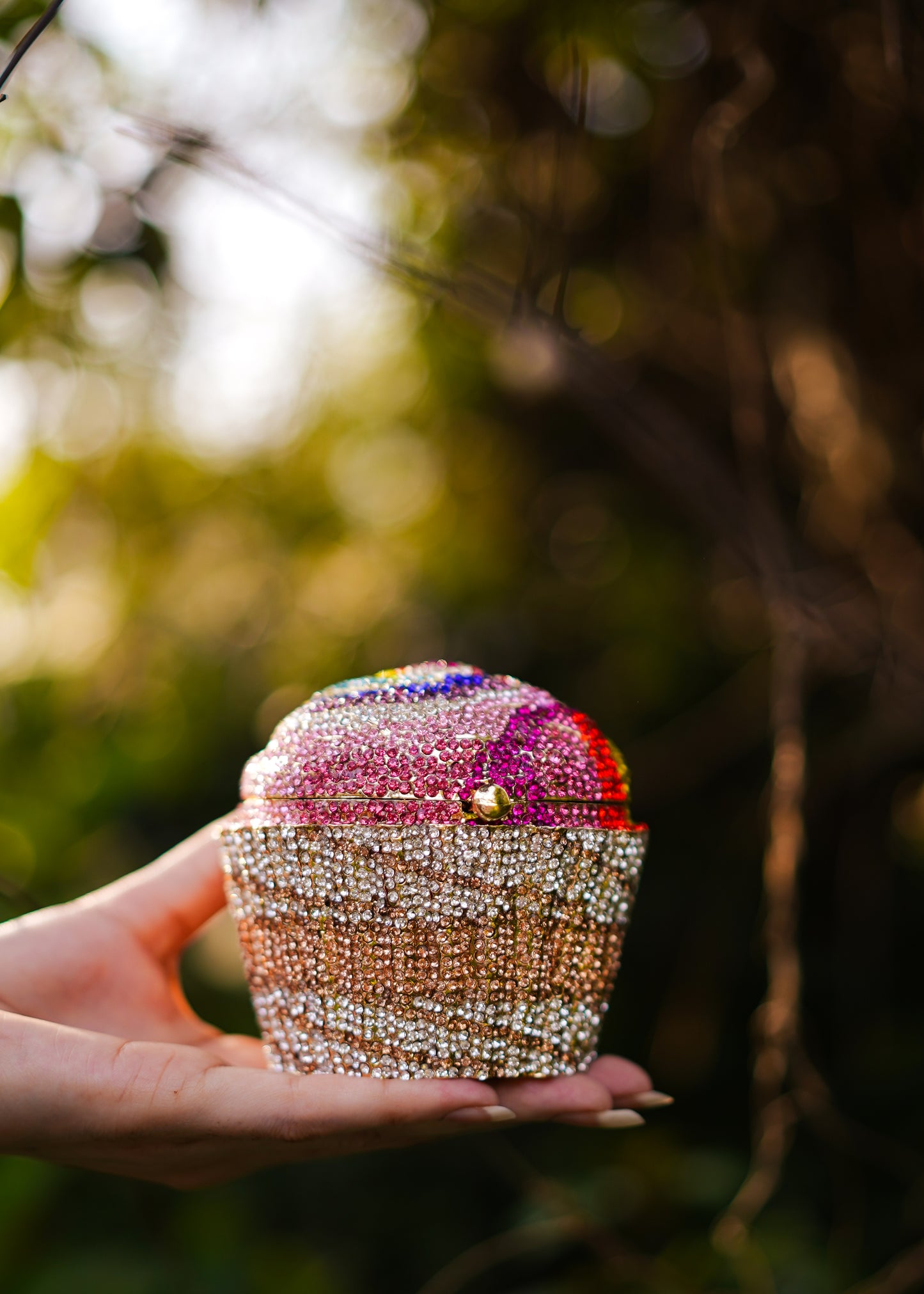 Rainbow Cupcake